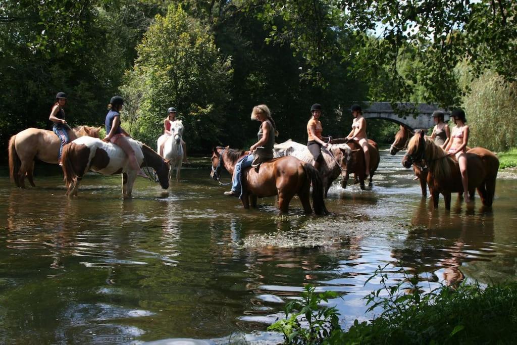 Serenite A La Ferme Equestre Lempzours Екстериор снимка